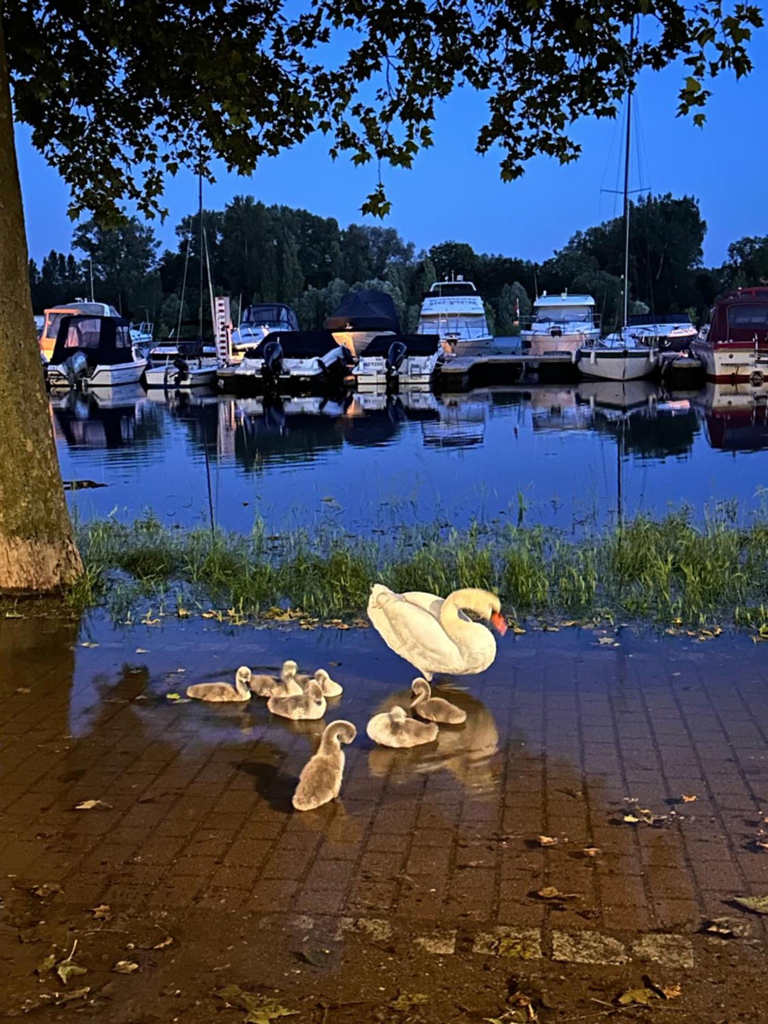 Hafenperle Villa Wiesbaden Dış mekan fotoğraf